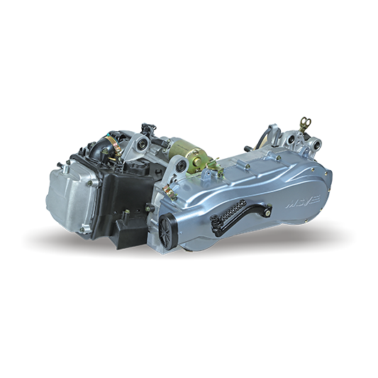 All-terrain Vehicle Engine